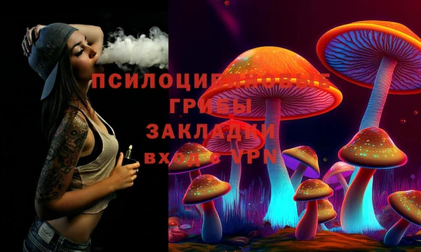 шишки Балахна